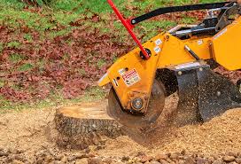 Best Pest Control for Lawns  in Lomira, WI