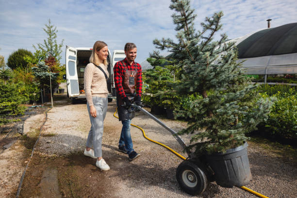 Best Organic Lawn Care Solutions  in Lomira, WI